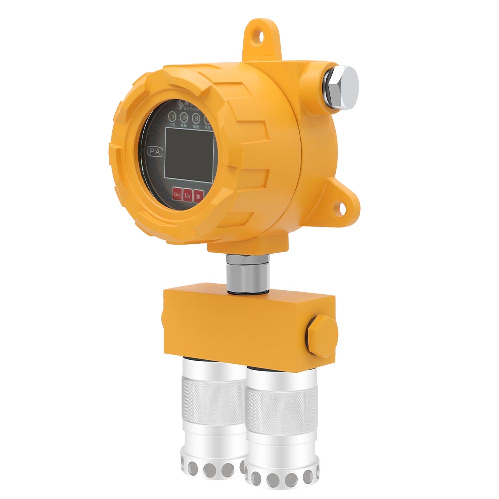 固定二合一氣體檢測(cè)儀